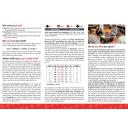 Flyer - Bridge Einstieg 2